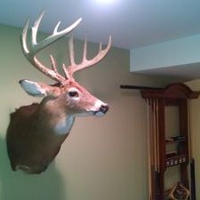 Profile Picture of John Lamkin (@jlamkin68) on Twitter