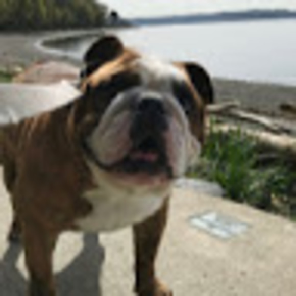 Jillian Demichael - Poshmark Profile Picture of Jillian Demichael (@materialjill) on Poshmark