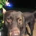 Profile Picture of Chad Odom (@chad.odom.967) on Facebook