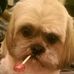 Profile Picture of Barry Fisk (@Barry-Fisk) on Facebook