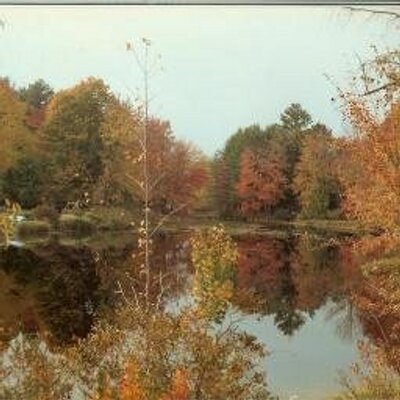 Profile Picture of Kevin Sigler (@ancestrybykevin) on Twitter