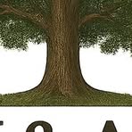 Profile Picture of Luke Scott (@Luke-Scott) on Facebook