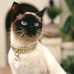 Profile Picture of Sharon DeVito (@sharon.devito.140) on Facebook