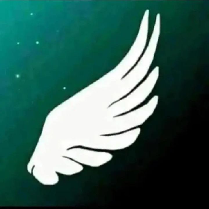 Profile Picture of AndyPaulino (@andypaulino5) on Tiktok