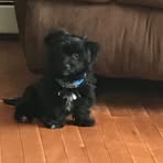 Profile Picture of Tracie MelloPotvin (@tracie.mellopotvin) on Facebook