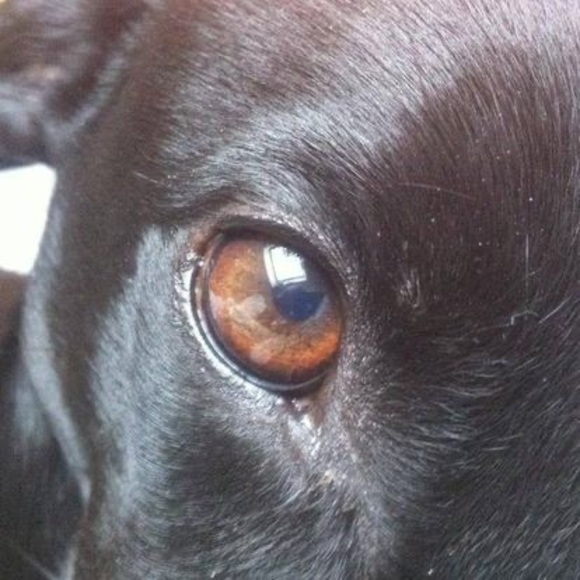 Profile Picture of Jim Knight (@grandtangent) on Poshmark