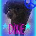 Profile Picture of Dixie Alexander (@dixie.alexander.10) on Facebook