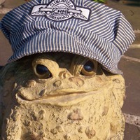 Profile Picture of Lani Phillips (@lani-phillips-8) on Quora