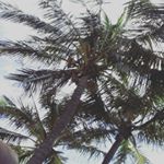 Profile Picture of Kyle Holmes (@kyleholme) on Instagram