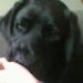 Profile Picture of Addison Casey (@acasey0249) on Pinterest