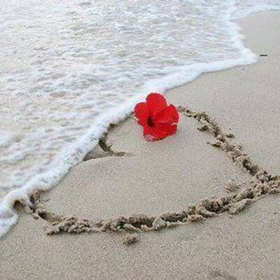 Profile Picture of Mohammad Majid (@mohammadmajid8) on Twitter