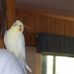 Profile Picture of Joanne Macgillivray (@joanne.macgillivray.9) on Facebook