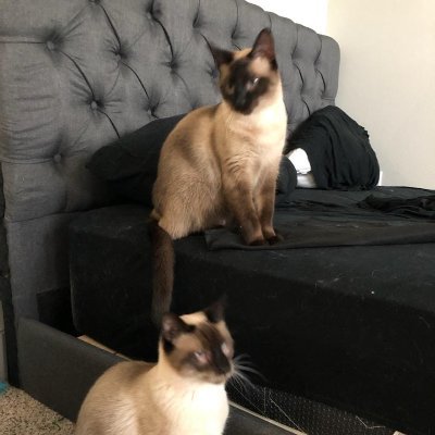 Profile Picture of Felix Extruder (@EricSustad) on Twitter