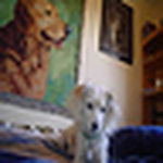 Profile Picture of Daniel Schmidt (@monkybutts24860) on Flickr