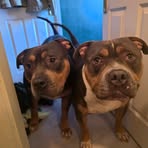 Profile Picture of James Higham (@James-Higham) on Facebook