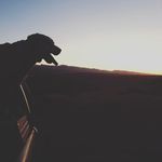 Profile Picture of Matthew Stacey (@mattsth_man) on Instagram