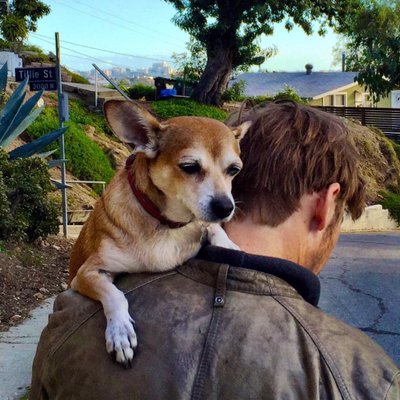 Profile Picture of Jimmi Simpson (@jimmisimpson) on Twitter