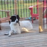 Profile Picture of Steve Carver (@carver_steve) on Instagram