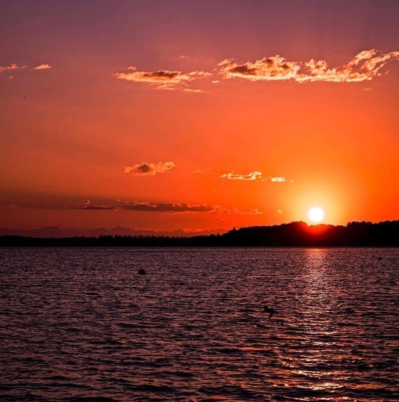 Profile Picture of Linda Merkley (@lindamerkley) on Poshmark