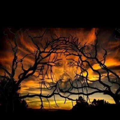 Profile Picture of Terry Brown (@TerrKeim) on Twitter