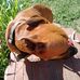 Profile Picture of Kevin Corum (@kevin.corum.104) on Facebook