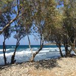 Profile Picture of Christophe Allaire (@allaire_paysagiste) on Instagram