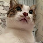 Profile Picture of arzu_mermerci (@arzu_mermerci) on Instagram