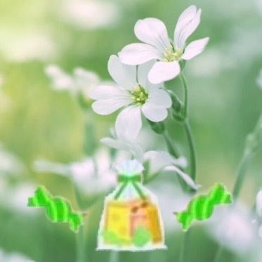 Profile Picture of Jasmine🌈✨ (@winston.sm) on Tiktok