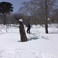 Profile Picture of Tatsu Hayase (@hayase-tatsu) on Quora