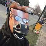 Profile Picture of Steve il cavallo (@ilcavallosteve) on Instagram