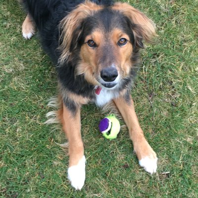 Profile Picture of VINCENT BREEN (@VINCENTBREEN5) on Twitter