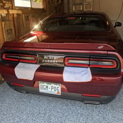 Profile Picture of Matt Kartis 🦁 (@DamnMailman) on Twitter