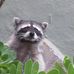 Profile Picture of Brian Mackenzie (@brian.mackenzie.585) on Facebook