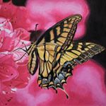 Profile Picture of marsha bloomfield2212 (@marsha_bloomfield_2212) on Instagram