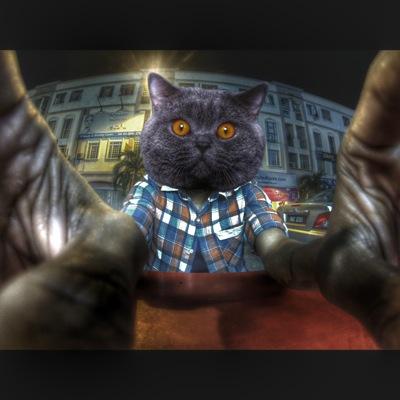 Profile Picture of MVM8N (@Mamin_awesome) on Twitter