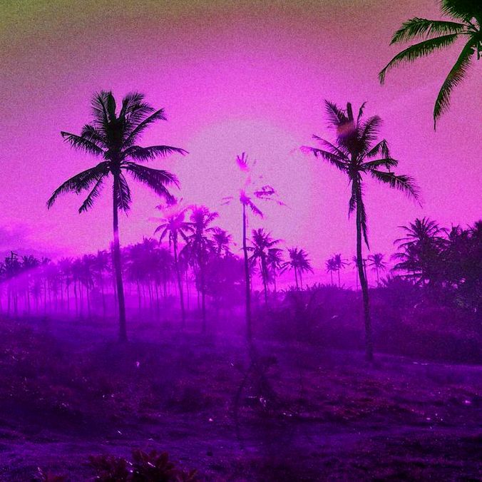 Profile Picture of Miles (@milespoland) on Tiktok