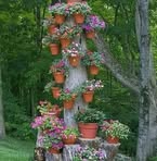 Profile Picture of Luz Fierro (@lucero.fierrograjales) on Facebook