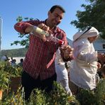 Profile Picture of David Nicolau (@david.nicolau.35325) on Facebook