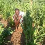 Profile Picture of Paul Spear (@Paul-Spear) on Facebook