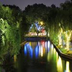 Profile Picture of Paulo De Freitas Marsiglia (@paulo_marsiglia) on Instagram