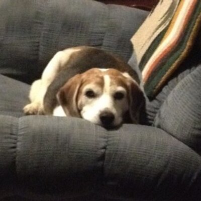 Profile Picture of Bill Alvarez (@1big6fan) on Twitter