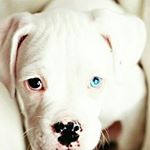 Profile Picture of bryonproctor (@proctorb618) on Instagram