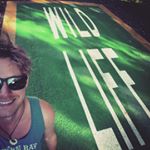 Profile Picture of Aaron Wild (@atw89) on Instagram