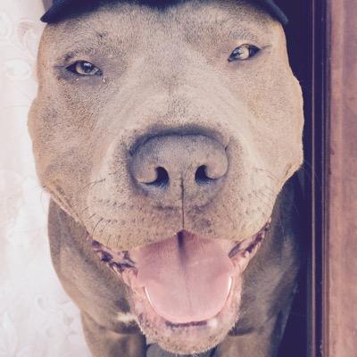 Profile Picture of Alex Harlan (@AlexRubaka) on Twitter