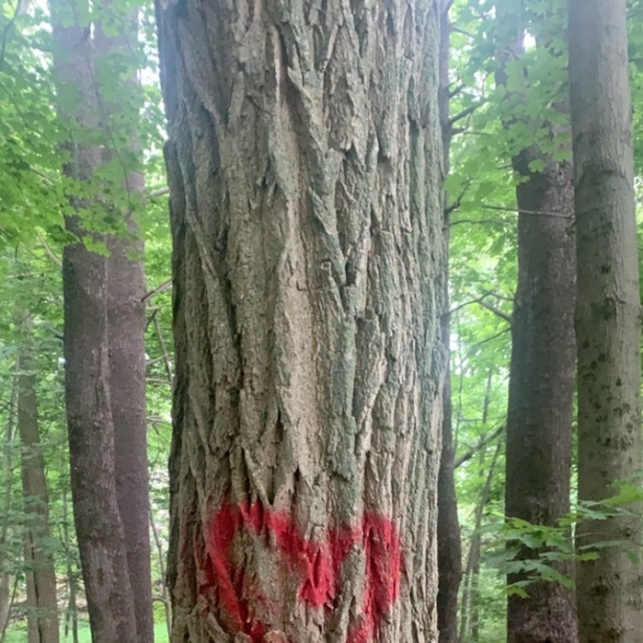 Kayla Gurry - Poshmark Profile Picture of Kayla Gurry (@kayla_gurry) on Poshmark