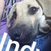 Profile Picture of Rita Sturm (@rita.sturm.902) on Facebook