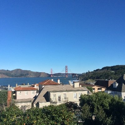 Profile Picture of Bill Seto (@SetoBill1) on Twitter