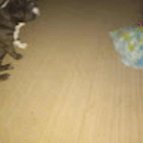 Profile Picture of Frank Allen (@123tator) on Poshmark