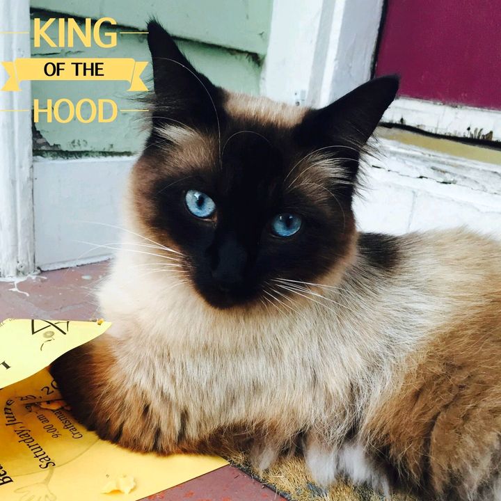 echorose_ - Tiktok Profile Picture of echorose_ (@echorose_) on Tiktok