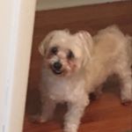Profile Picture of Joseph Perriello (@josephlperriello) on Instagram